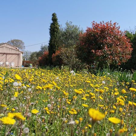 Maison De Vacances L'Hote Champetre Campagne Arlesienne Exteriör bild